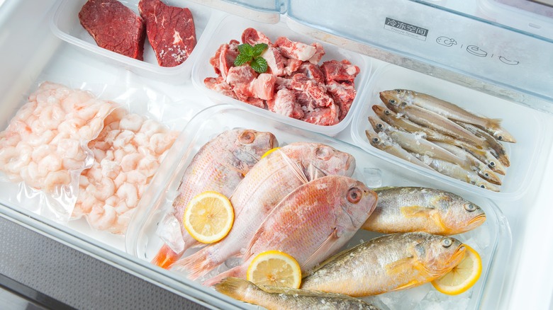 frozen seafood in a freezer