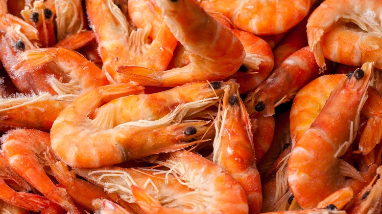 frozen shrimp in large pile