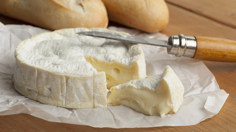 Camembert cheese with knife