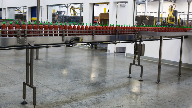 Huy Fong Sriracha bottles on factory conveyor belt