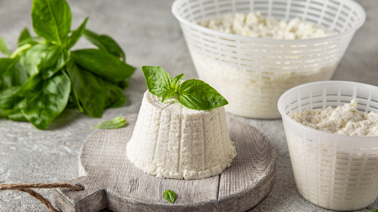 Homemade ricotta cheese with basil 