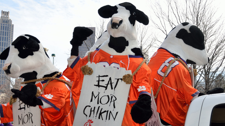 Chick-fil-A cows sport "Eat Mor Chikin" sandwich boards.