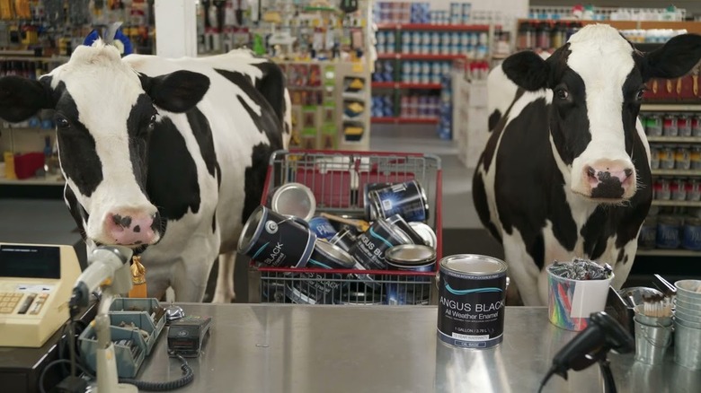 Two real cows next to shopping cart of paint.