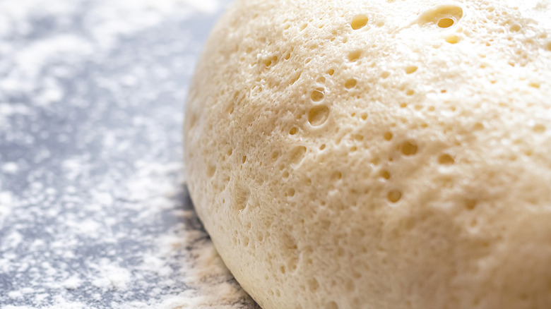 A close up photograph of risen dough