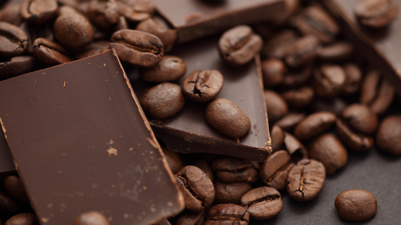 Squares of chocolate and coffee beans