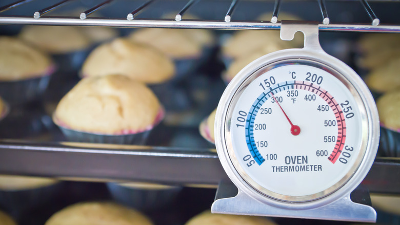 A oven thermometer hanging from shelf