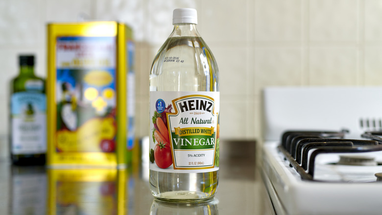 Vinegar bottle sitting on the counter