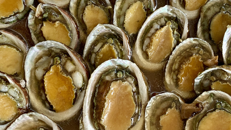 Overhead shot of opened abalones