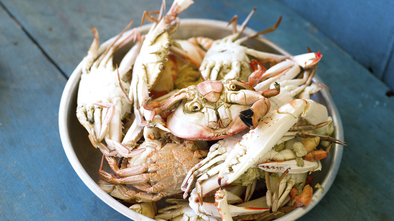 Bowl of fresh crabs