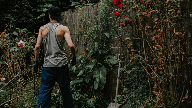 Young man standing in an overgrown chaos garden