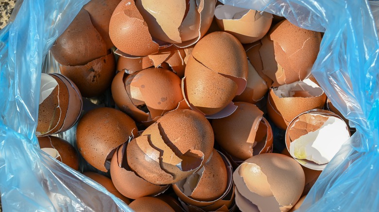 Eggshells in a trash bag