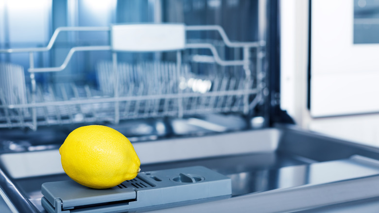 Whole lemon sitting on open door of dishwasher