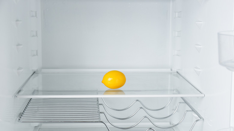 Solitary lemon on refrigerator shelf