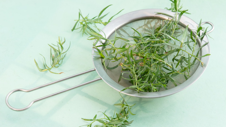 fresh tarragon in a mesh colander 