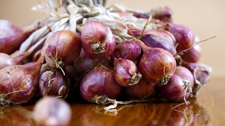 a bunch of shallots