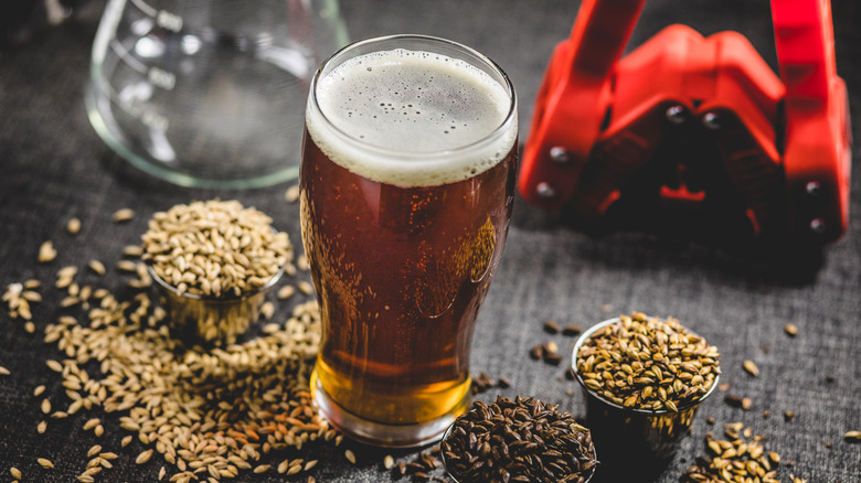 Homebrew beer in glass with barley and equipment