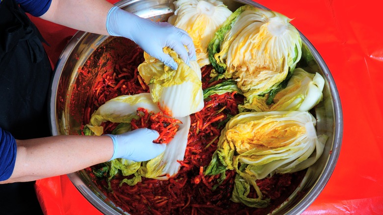 Woman rubbing spice mix into cabbage for kimchi