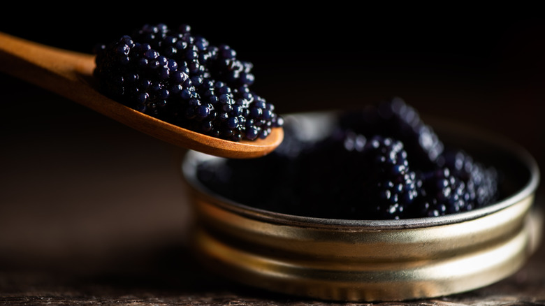 black caviar in small pot