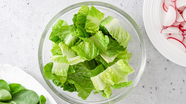 Cut romaine lettuce