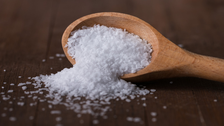 Spoon spilling kosher salt