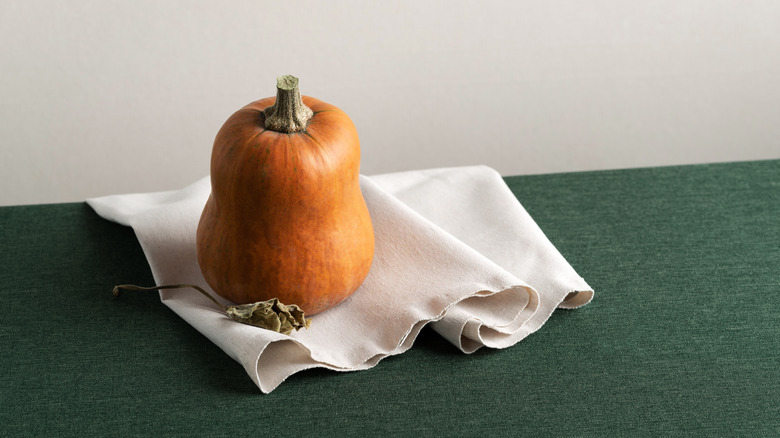 honeynut squash on a green surface