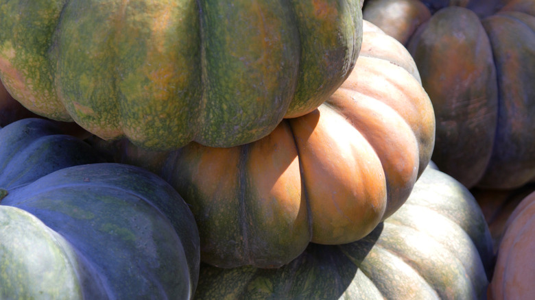 piled orange and green calabaza squash