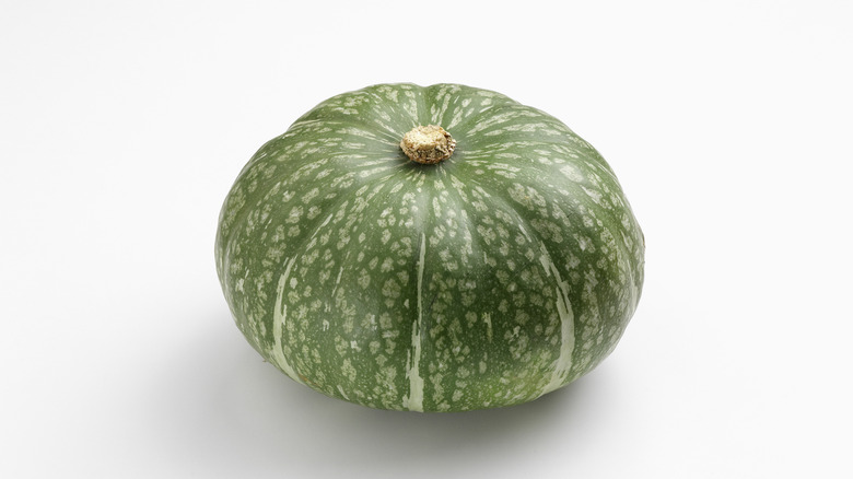 kabocha squash on white background