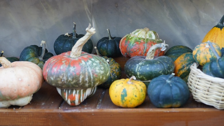 winter squash piled on a bench