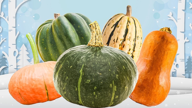 collection of colorful winter squash