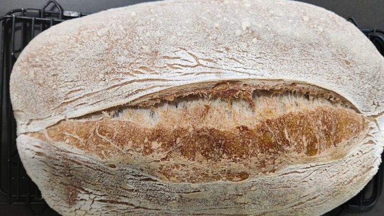 Loaf of Italian peasant bread