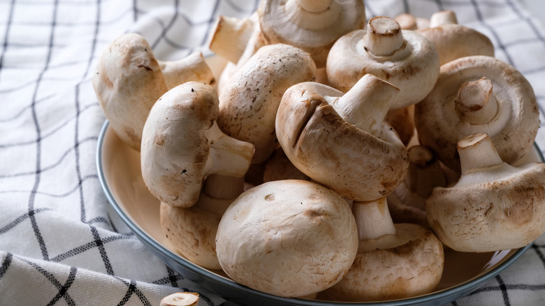 white mushrooms in a bowl