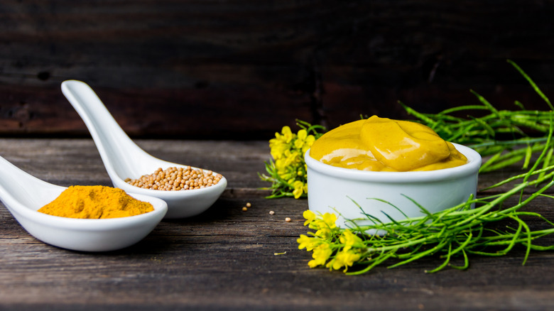 mustard varieties arranged on wooden table with mustard plant