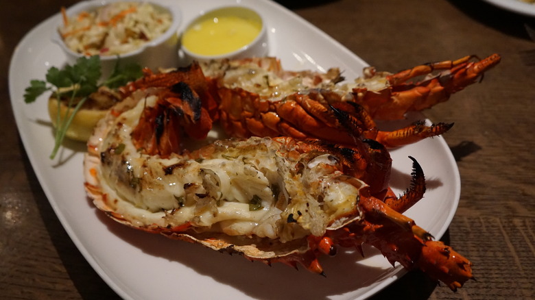 Grilled lobster on plate