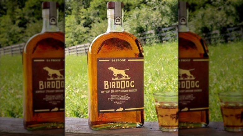 Bottle of Bird Dog Bourbon Whiskey with rocks glass