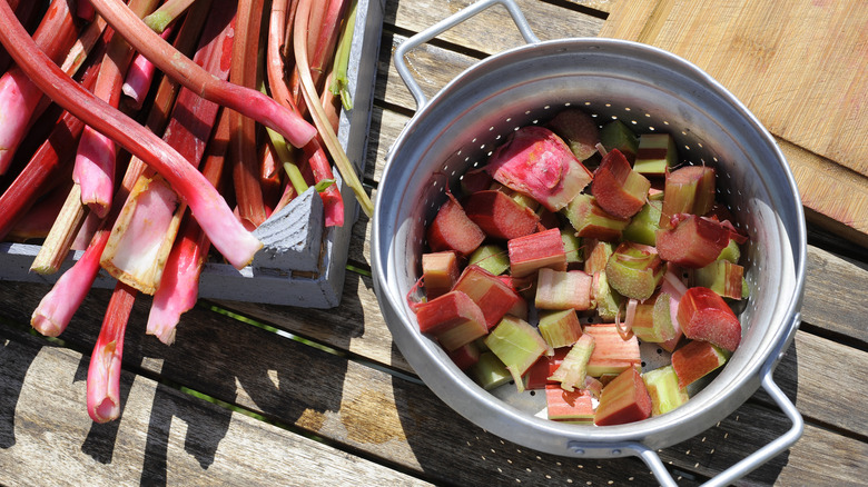 Raw rhubarb in colander