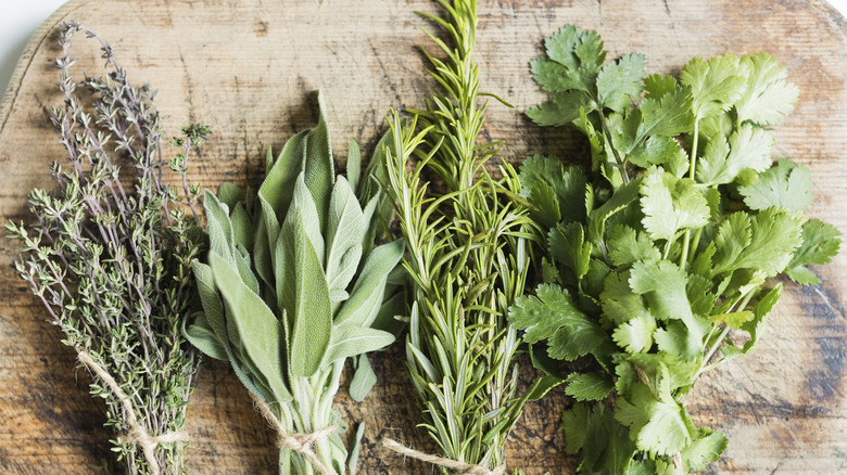 four bunches of herbs sit side by side on a rustic wooden surface