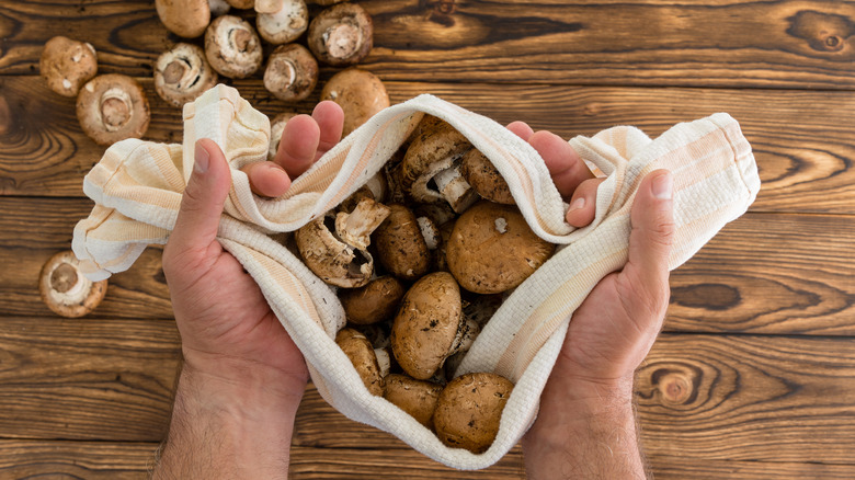 person holding fresh baby bella mushrooms in white cloth