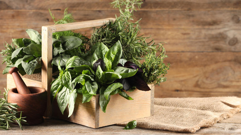 Fresh herbs in wooden basket on wooden table