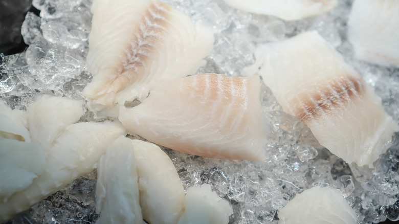 Fish fillets sitting on ice