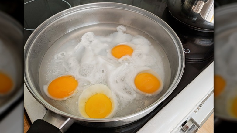 Four eggs poaching in pot