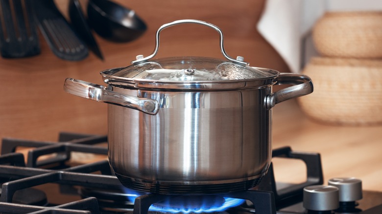 Pot on stove with lid