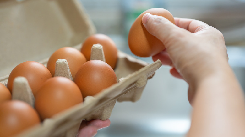 Hand holding egg with carton