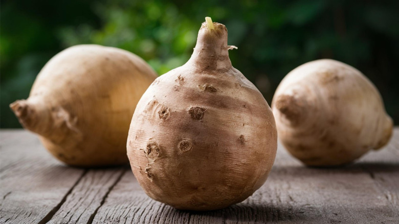 celeriac bulb root fresh