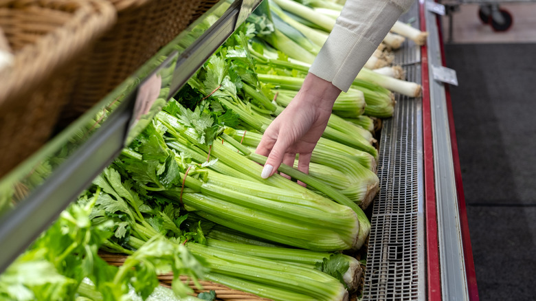 Woman picking fresh green celery at the vegetable store