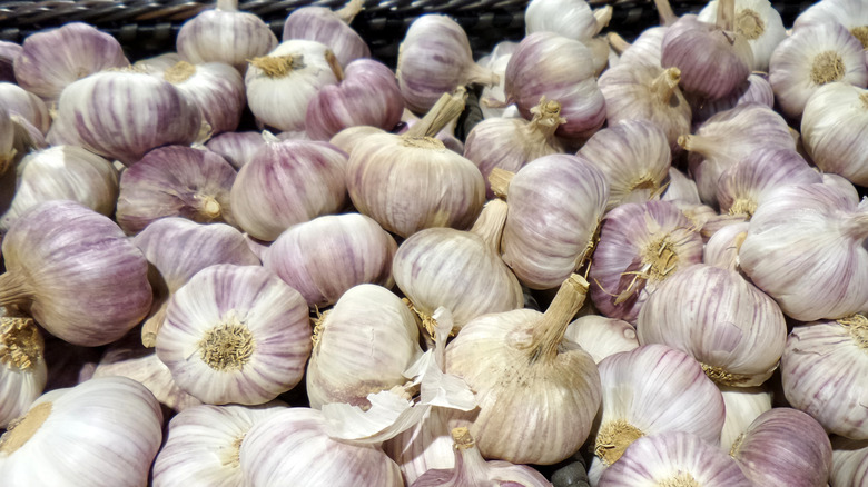 close-up image of fresh garlic heads