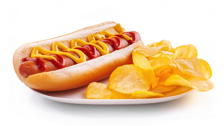 A hot dog and potato chips on a plate