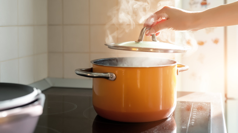 Pan of boiling water with lid