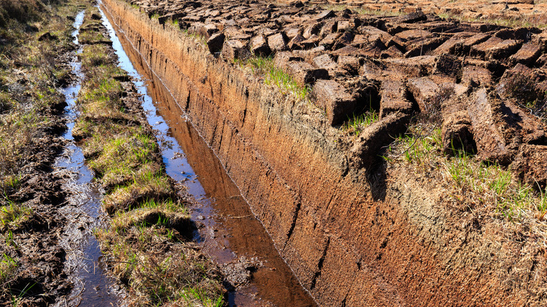 Blocks of peat for whiskey making