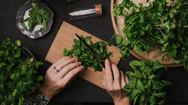 hands cutting fresh herbs