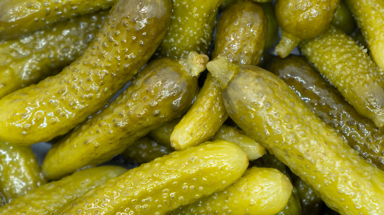 A close-up of pickles